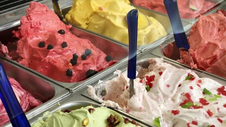 Overpriced Bodrum ice cream fined
