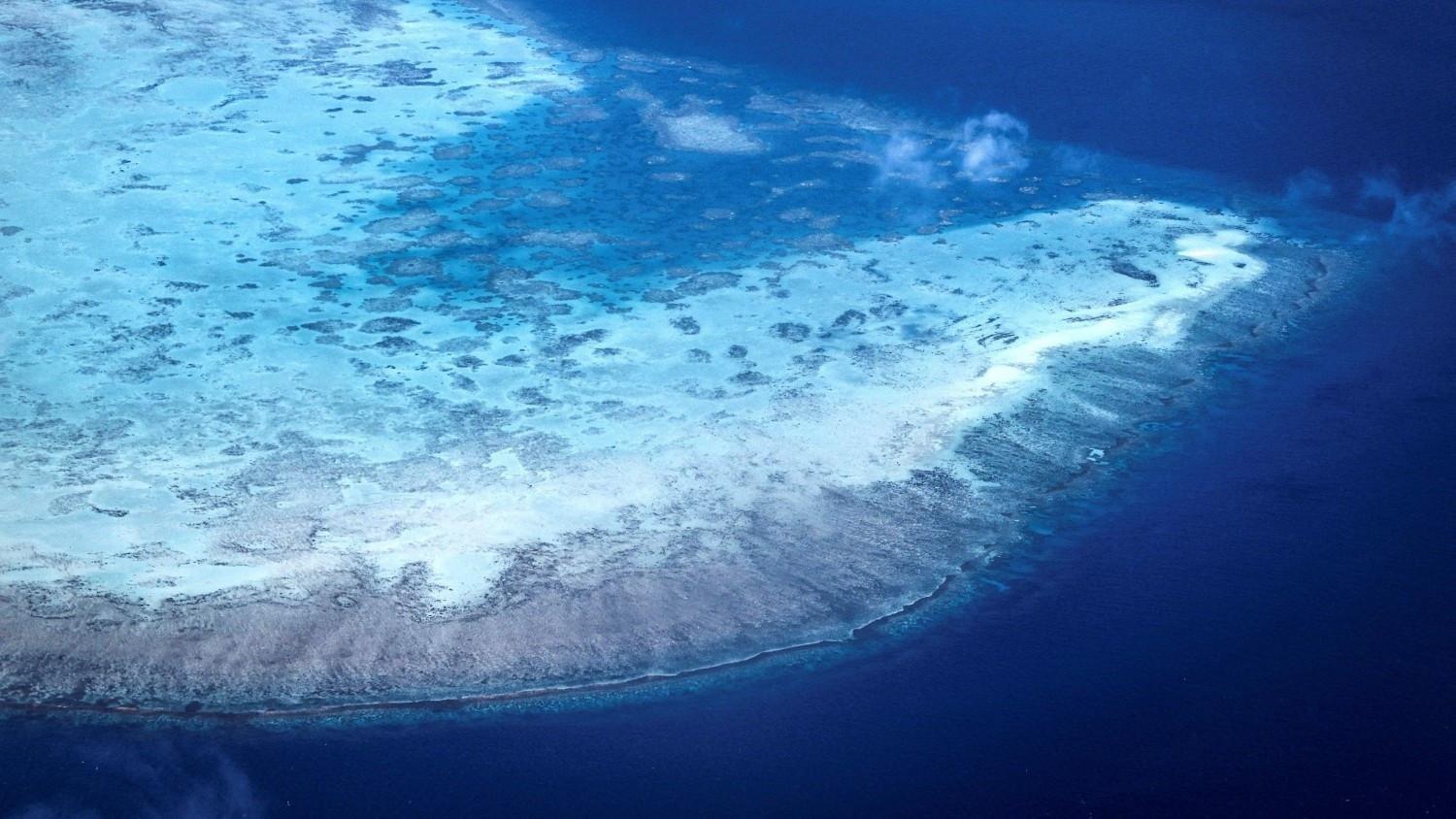 Great Barrier Reef at risk of ‘collapse,’ scientists warn