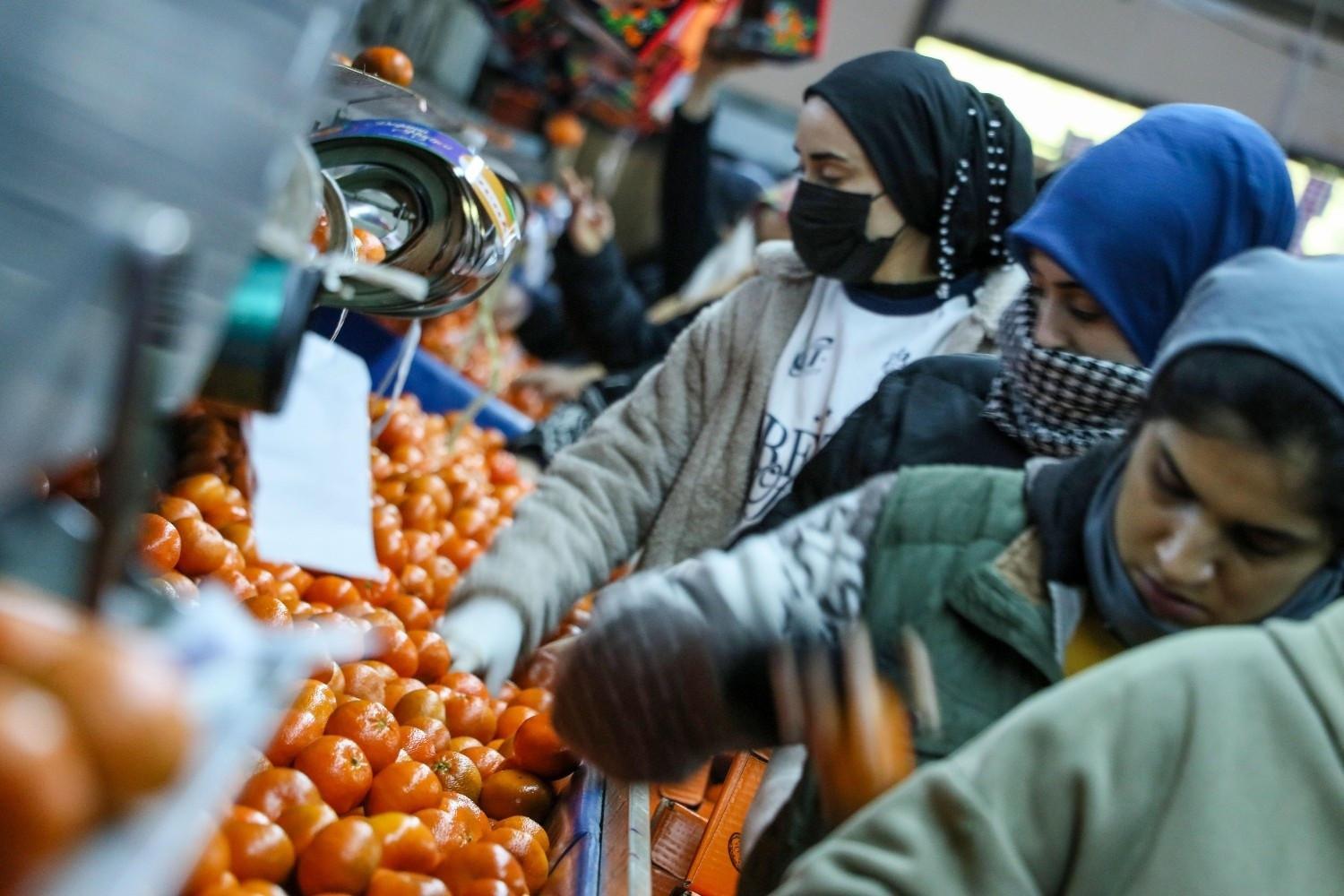 Fresh produce exports hit first-half record