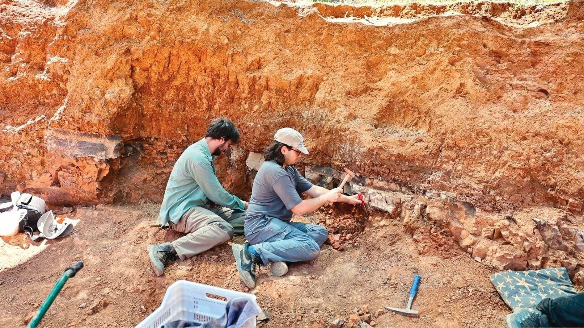 Millions of years old fossils shed light on prehistoric life