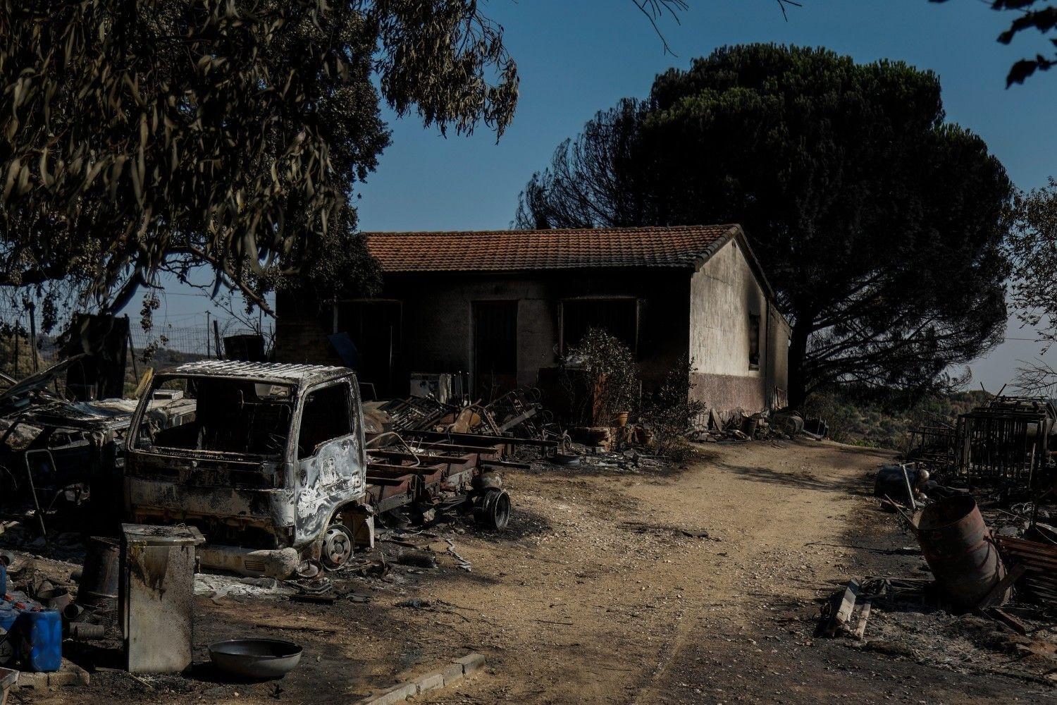 Livestock farmers fear for their livelihoods as wildfires ravage Spain