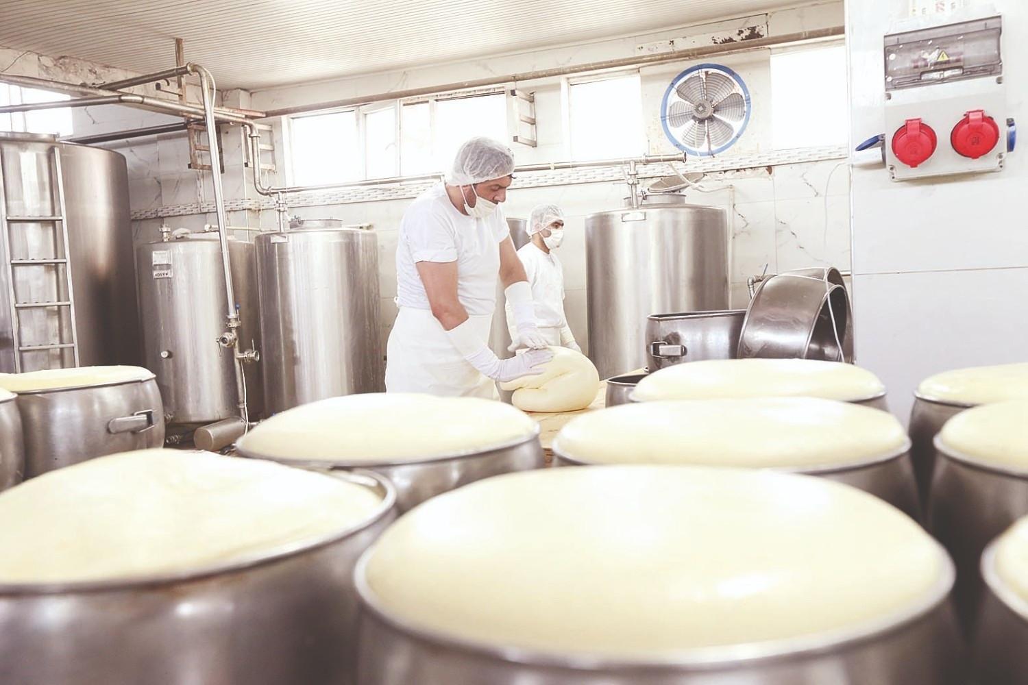 Kars applies for EU geographical indication status for kashar