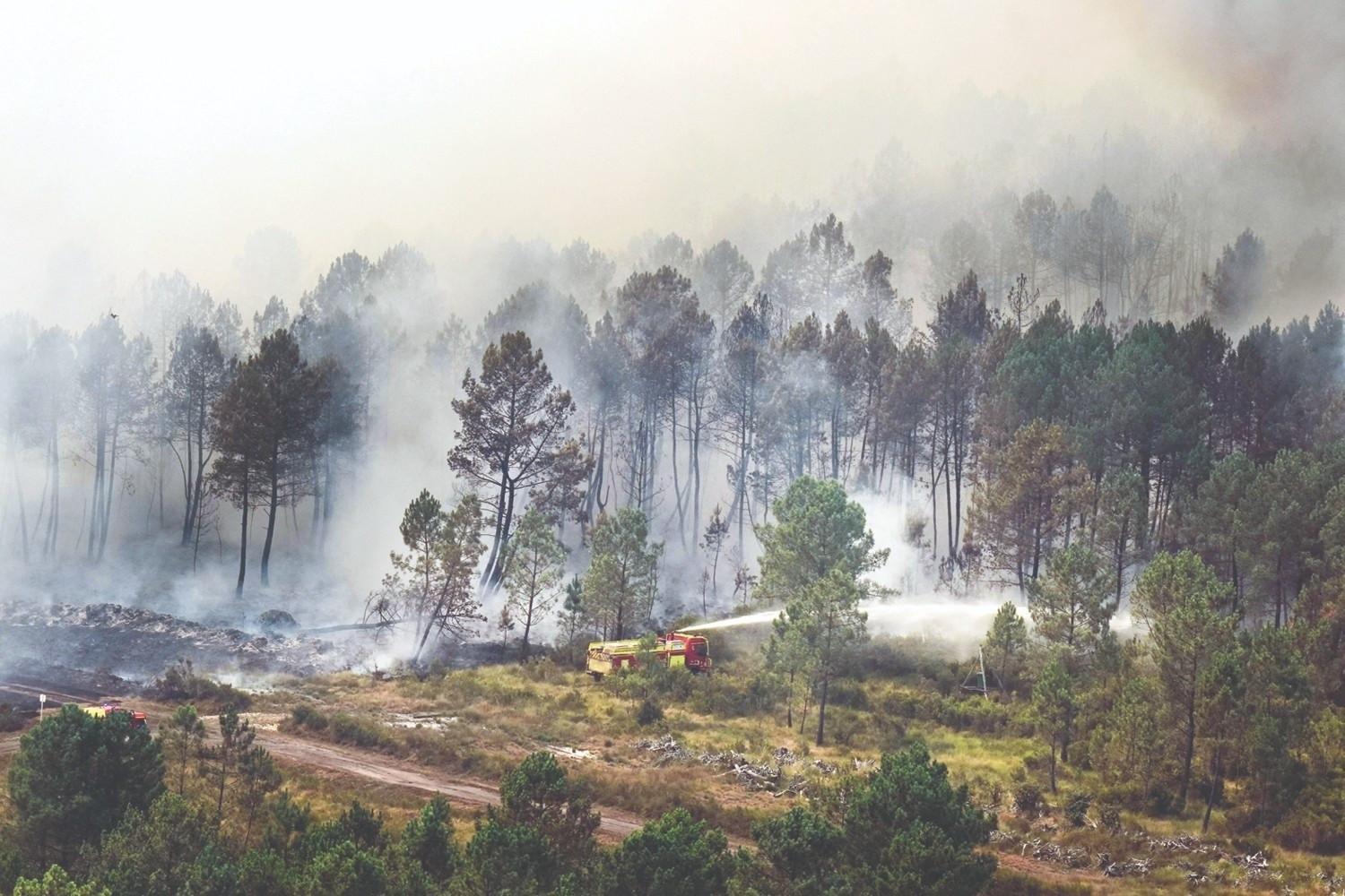 Rain dampens the France fire, as Spain reports 'almost no flames'