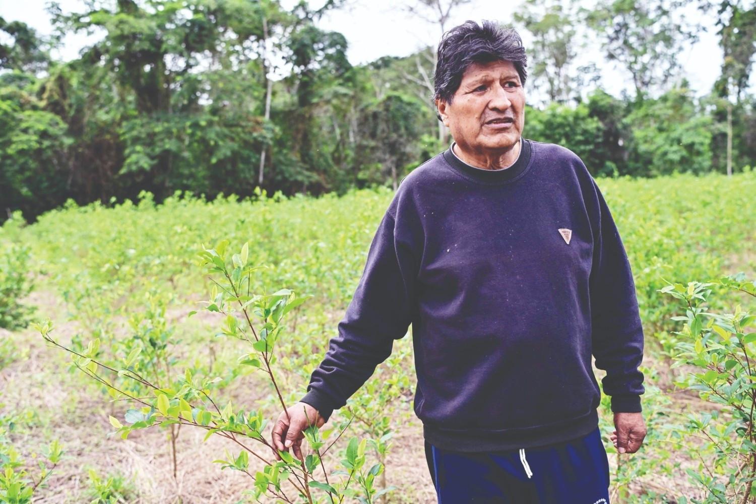 Bolivia prosecutor orders arrest of Morales