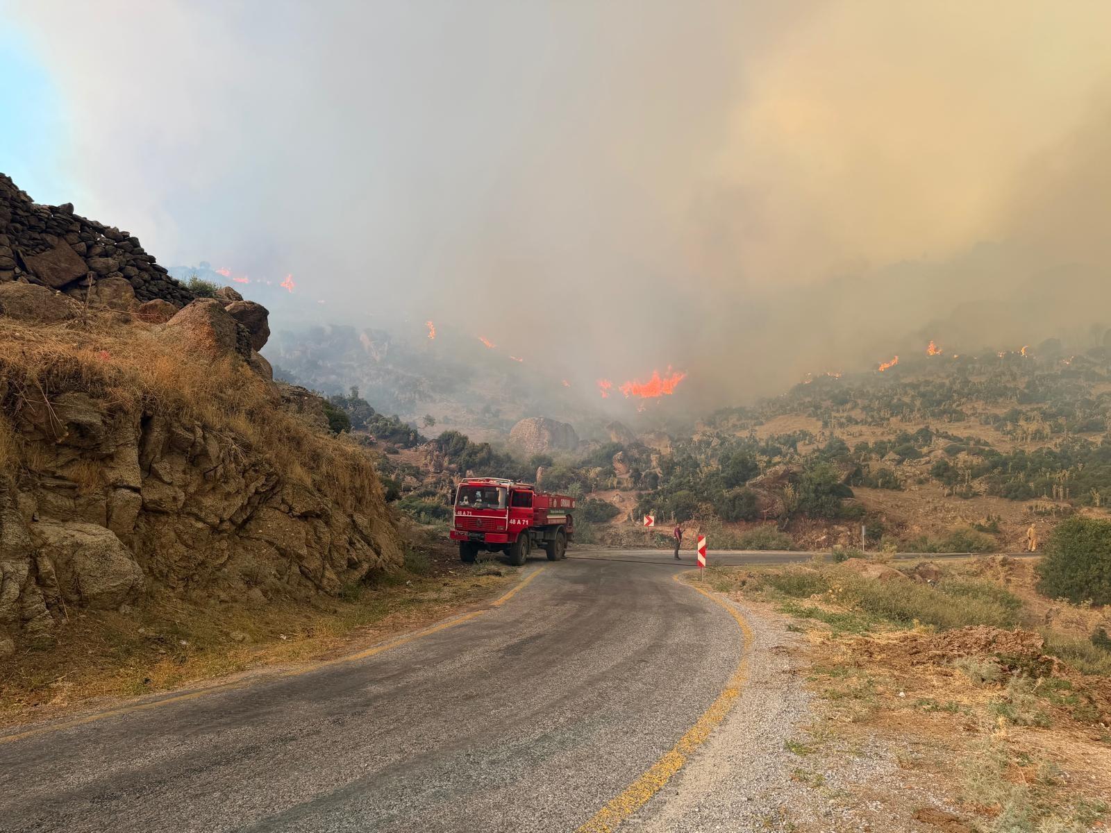 Strong winds complicate wildfire fight across western Türkiye