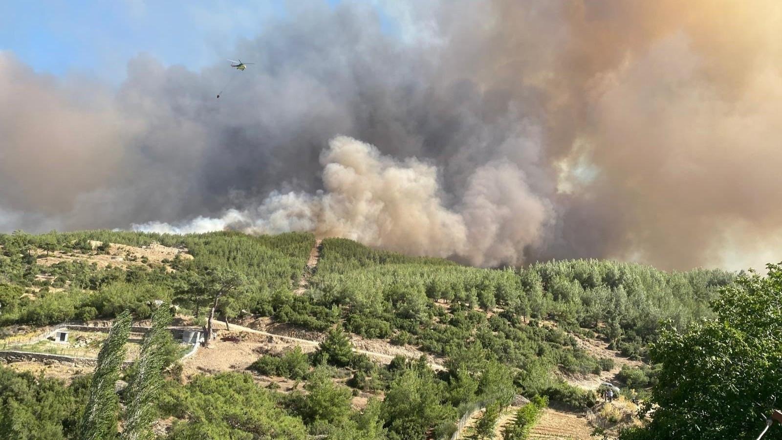 Most wildfire outbreaks under control as wind warnings persist