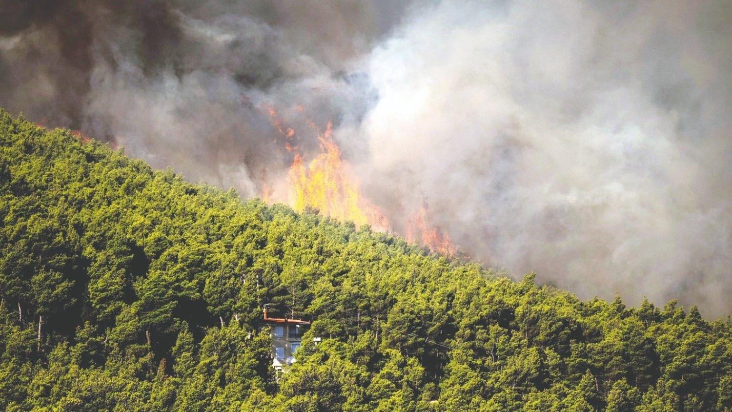 Wildfire toll mounts in Greece as blazes spread