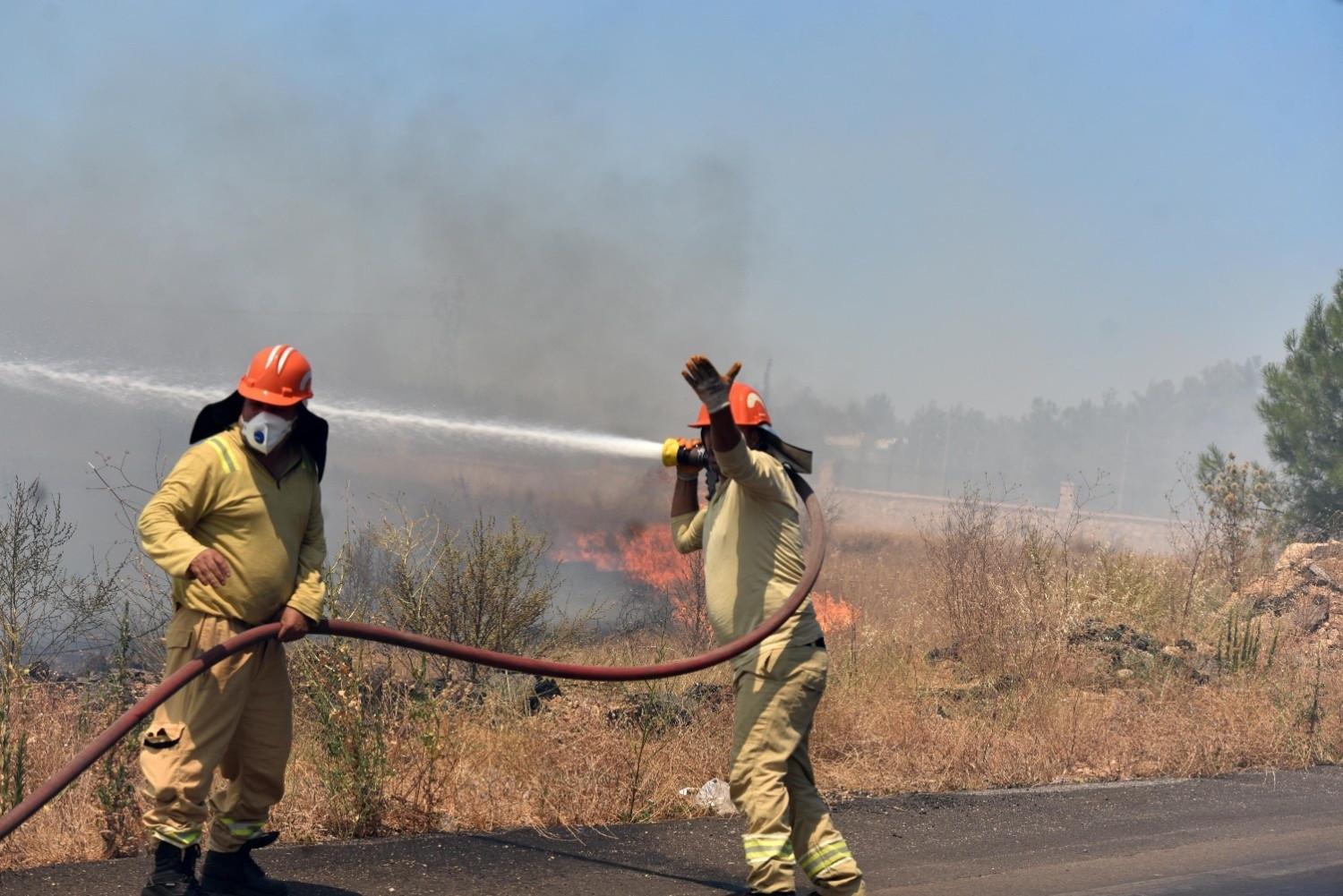 Türkiye probes 29 suspects over forest fires since June