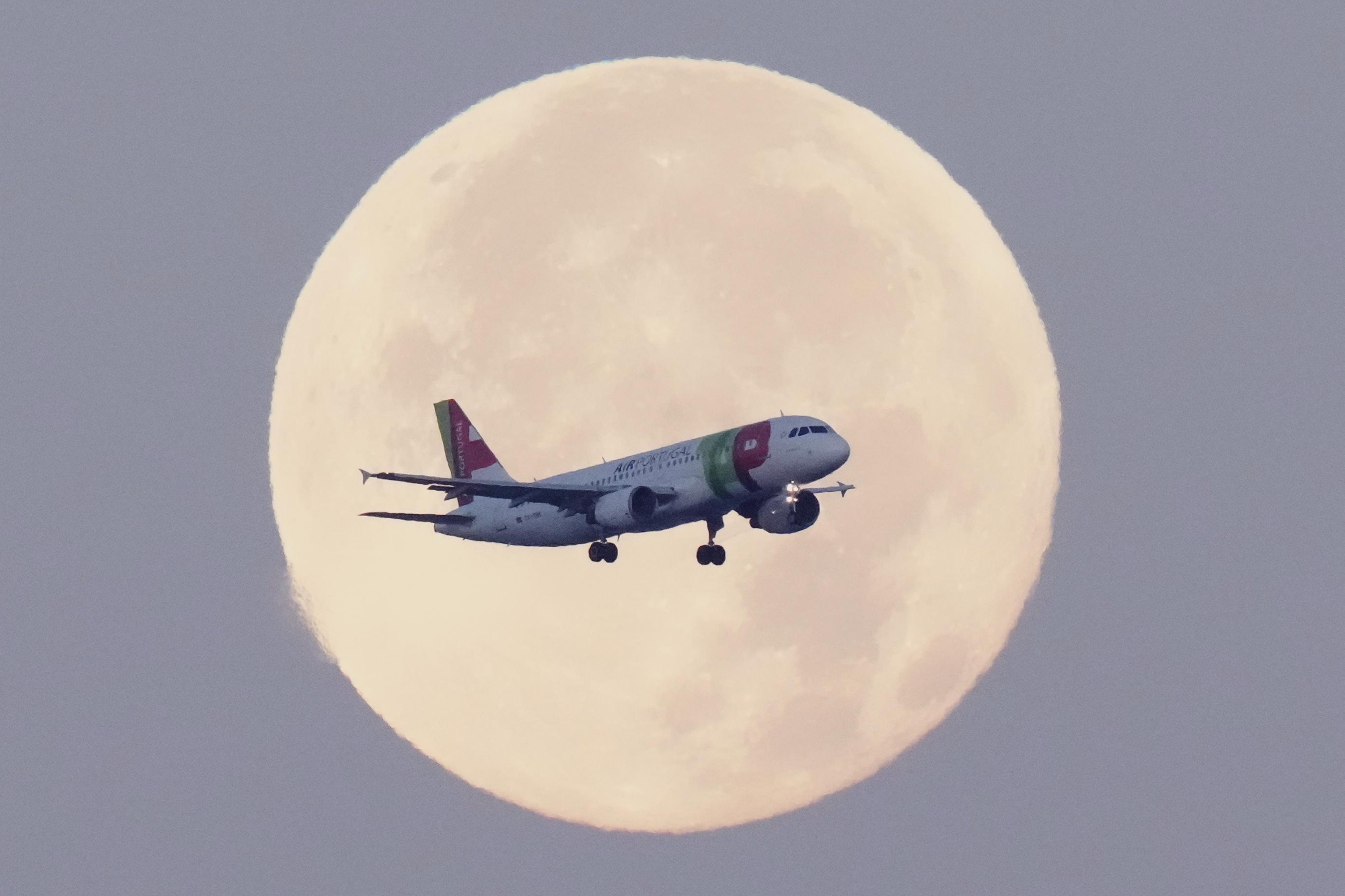 Higher jet fuel costs hit Lufthansa profit