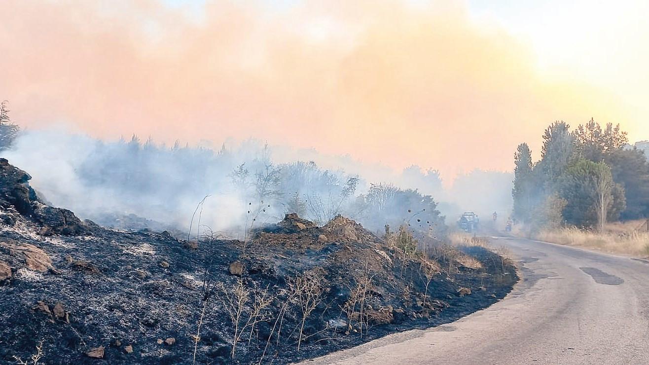 Wildfire fanned by strong winds in Çanakkale under control