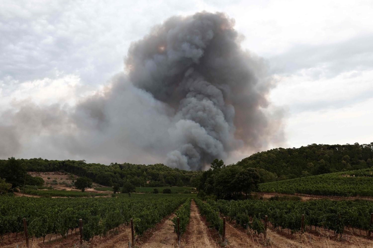 French winemakers dread 'smoky taste' after wildfires