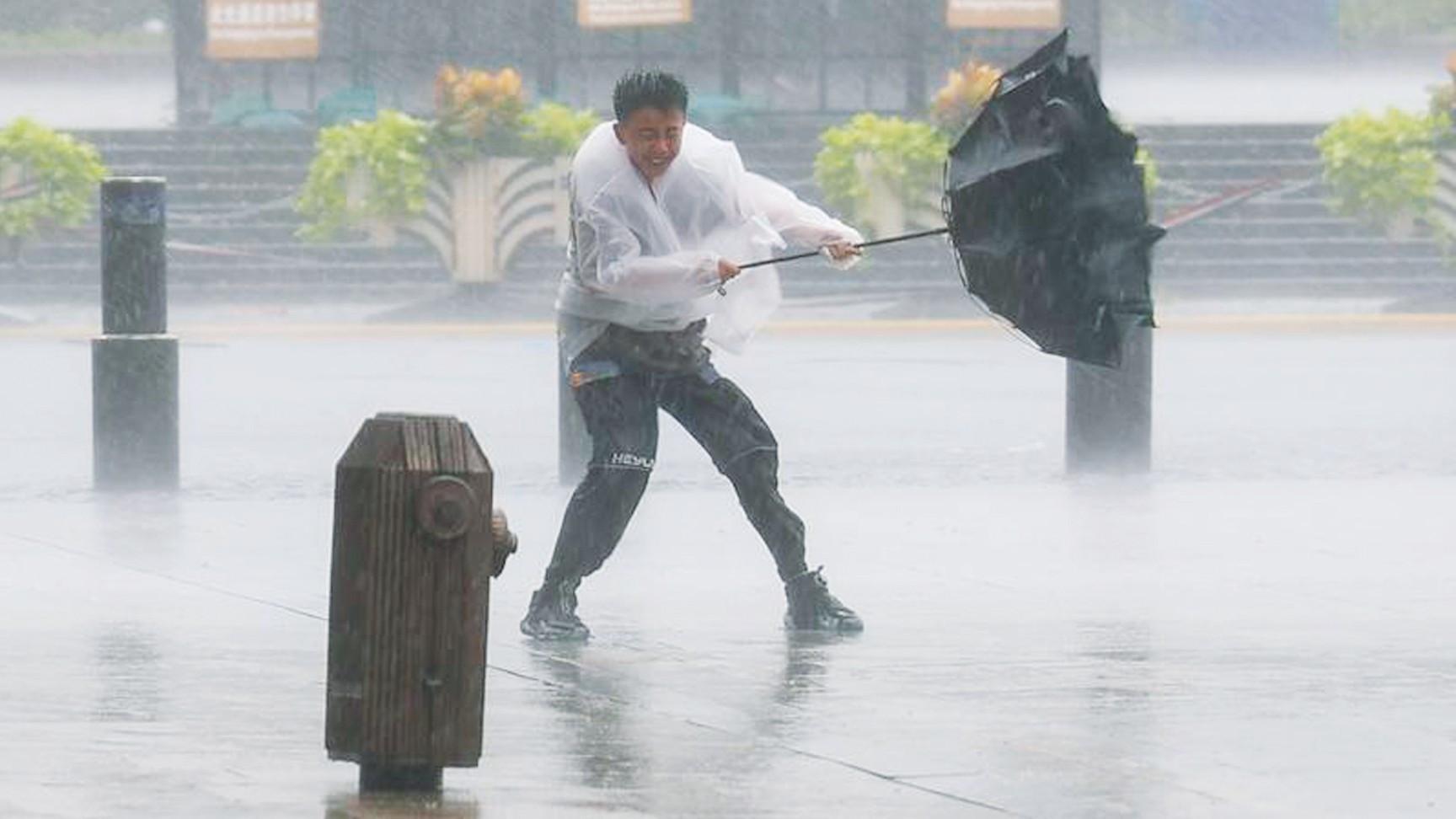 Typhoon Dolphin disrupts travel