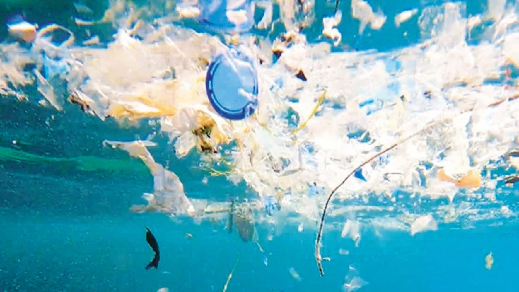 Paper chits cast during Hıdırellez still killing fish