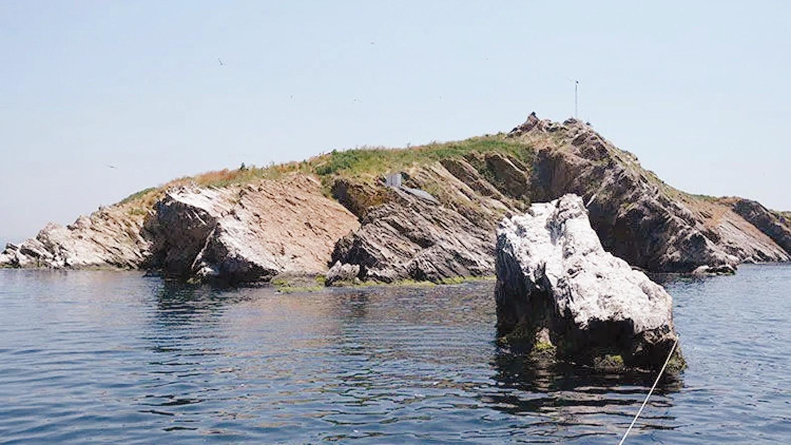 Tavşan Island’s coral model heads to COP31