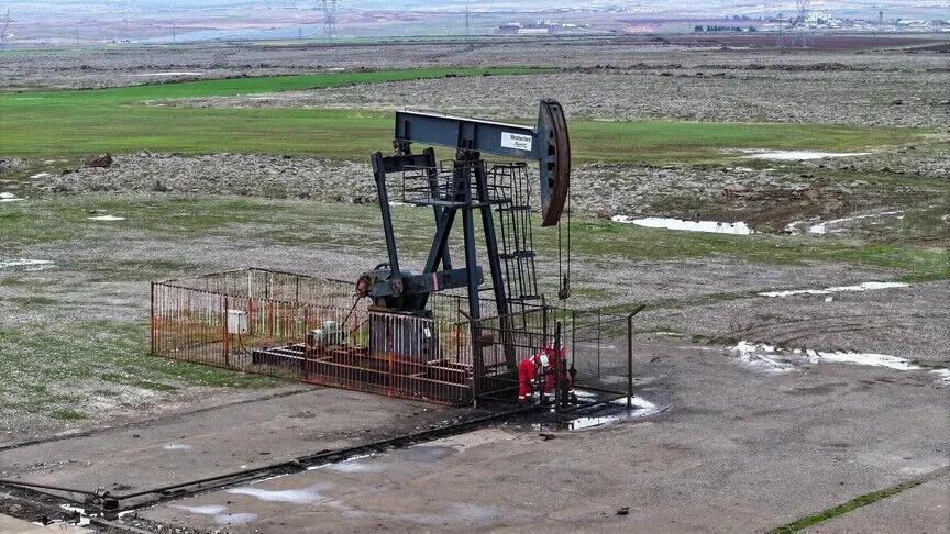 Diyarbakır could produce up to three times as much oil as Gabar: Minister