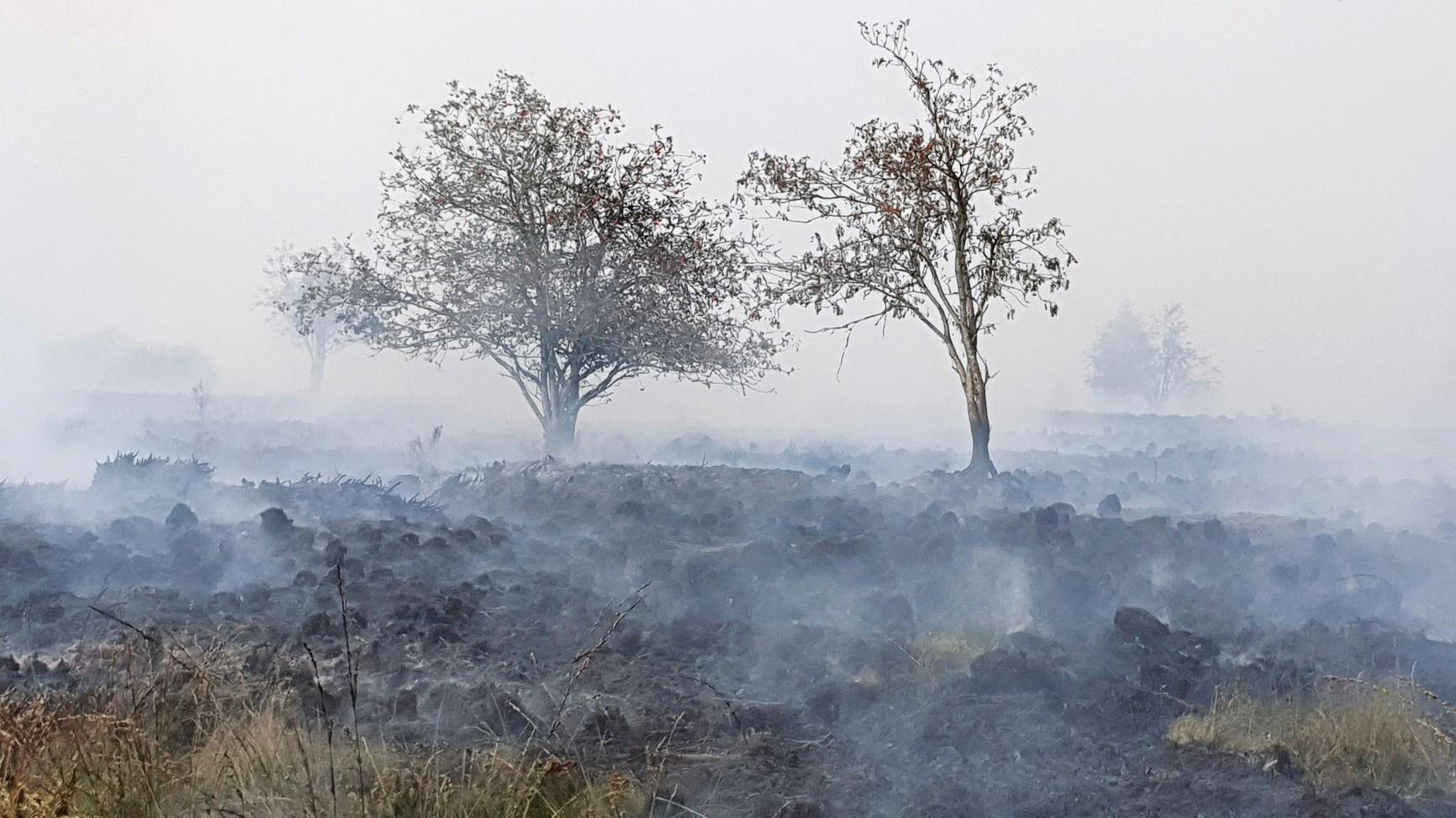 Record Belgium wildfire doubles in size