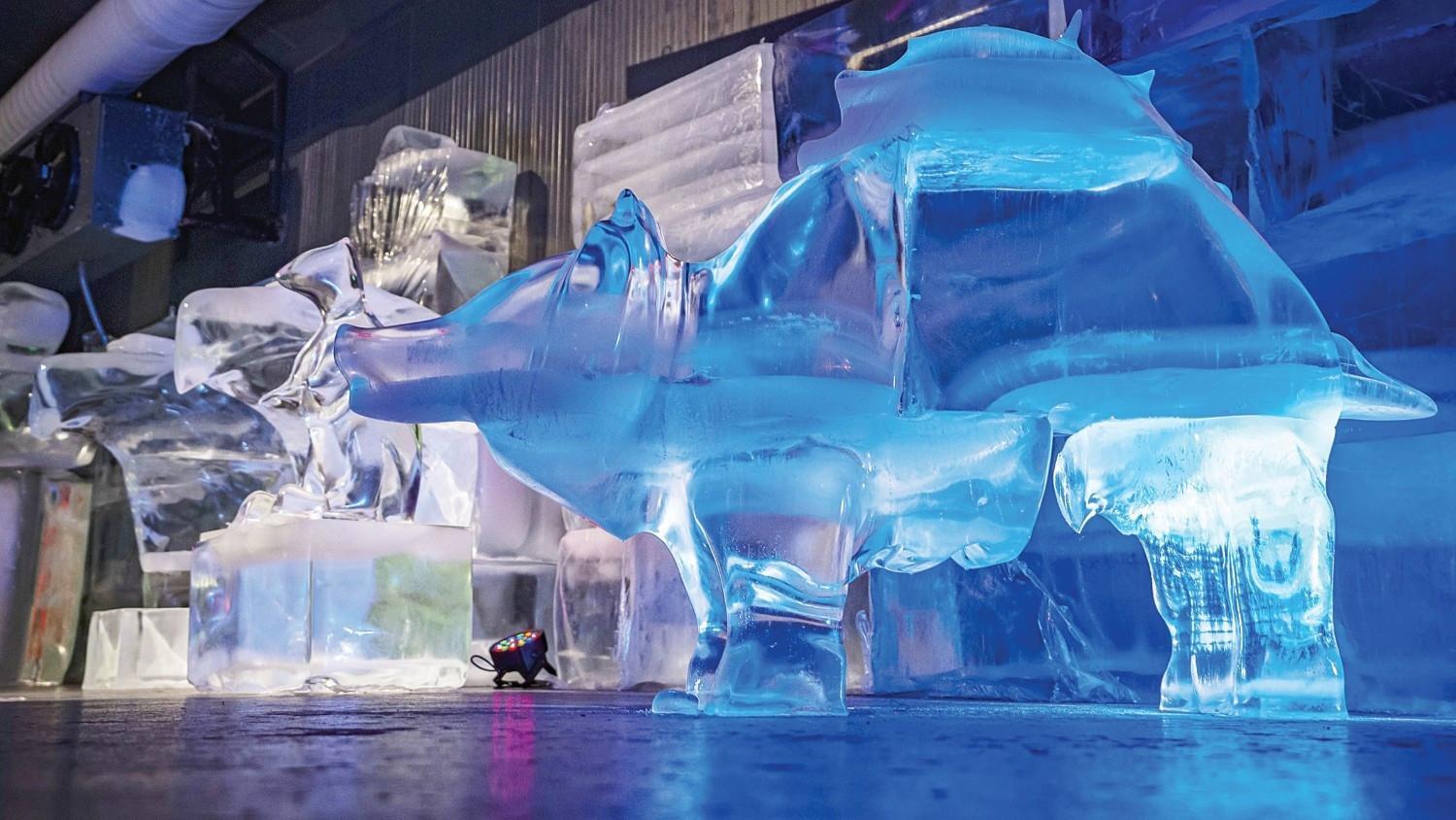 Ice museum offers cool escape from summer