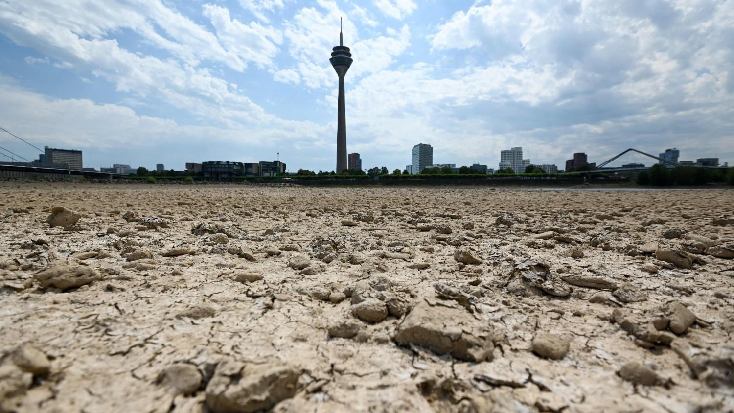 As Europe's rivers recede, shippers scramble to limit damage