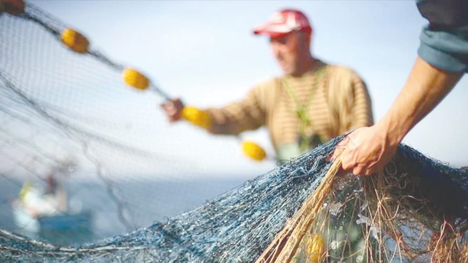 Fishermen expect abundant bonito as season opens in Türkiye