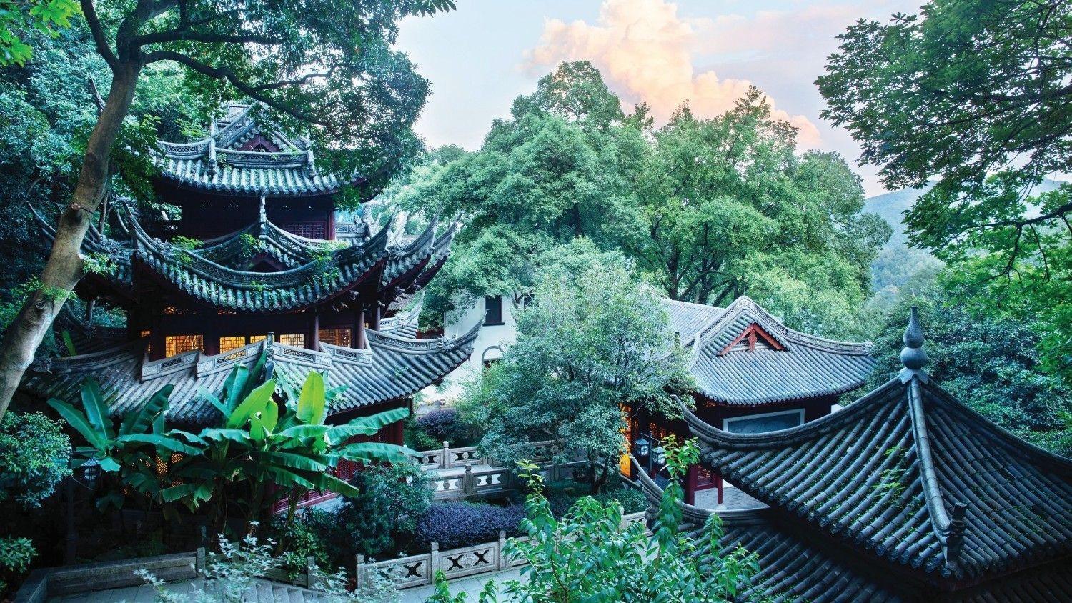 In search of Longjing: The hands behind China’s most revered green tea