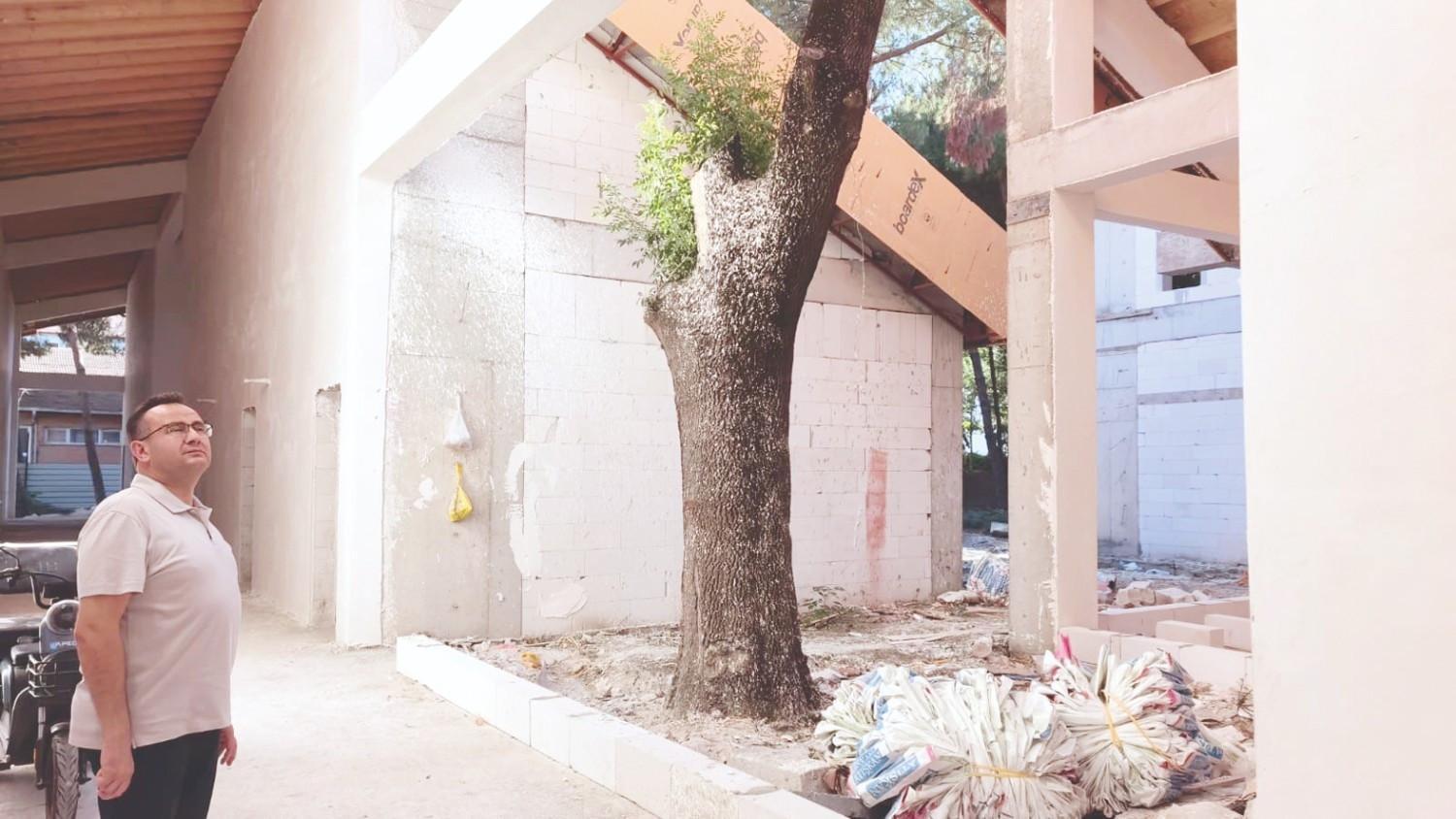 Bursa school design altered to save trees