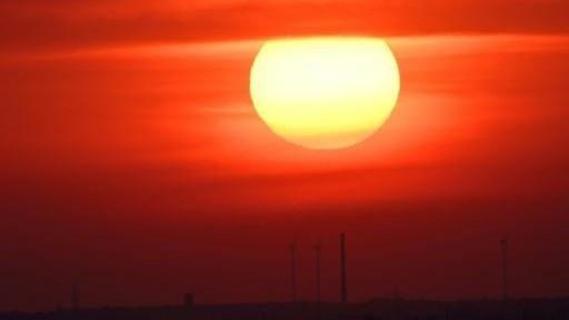 Germany reports record 15,800 heat-related deaths this summer