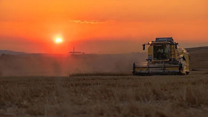 Türkiye’s strong grain stocks shield it from global supply risks: Industry official