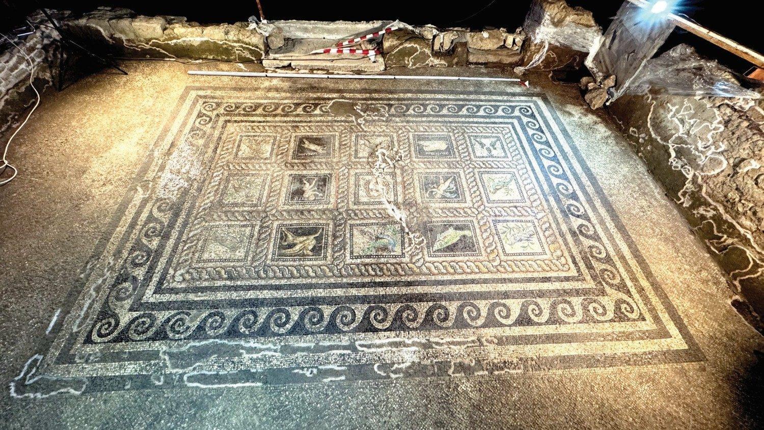 Roman-era villa uncovered at ancient city of Adramytteion