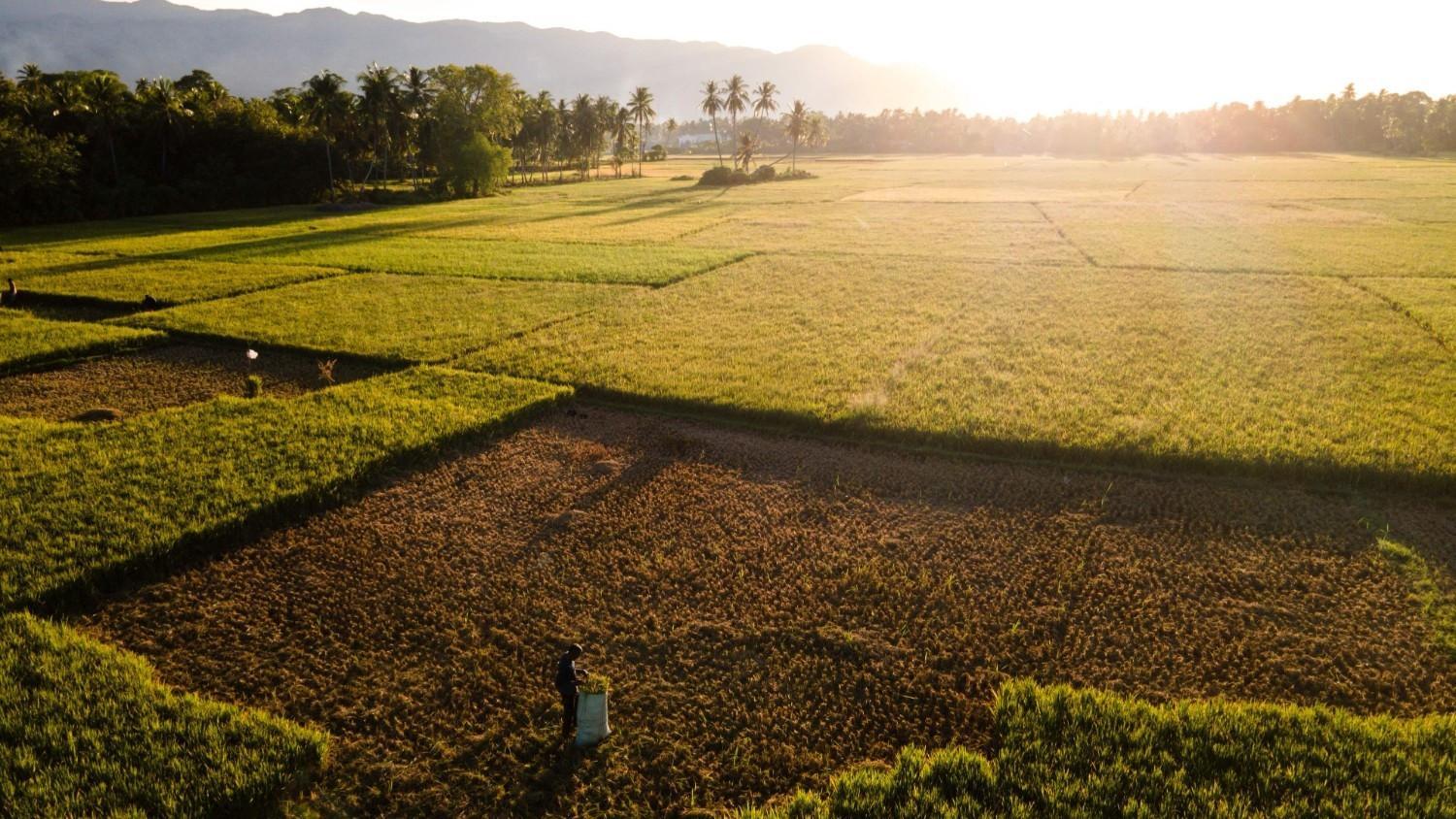 El Nino to be 'very strong', last until February, UN warns