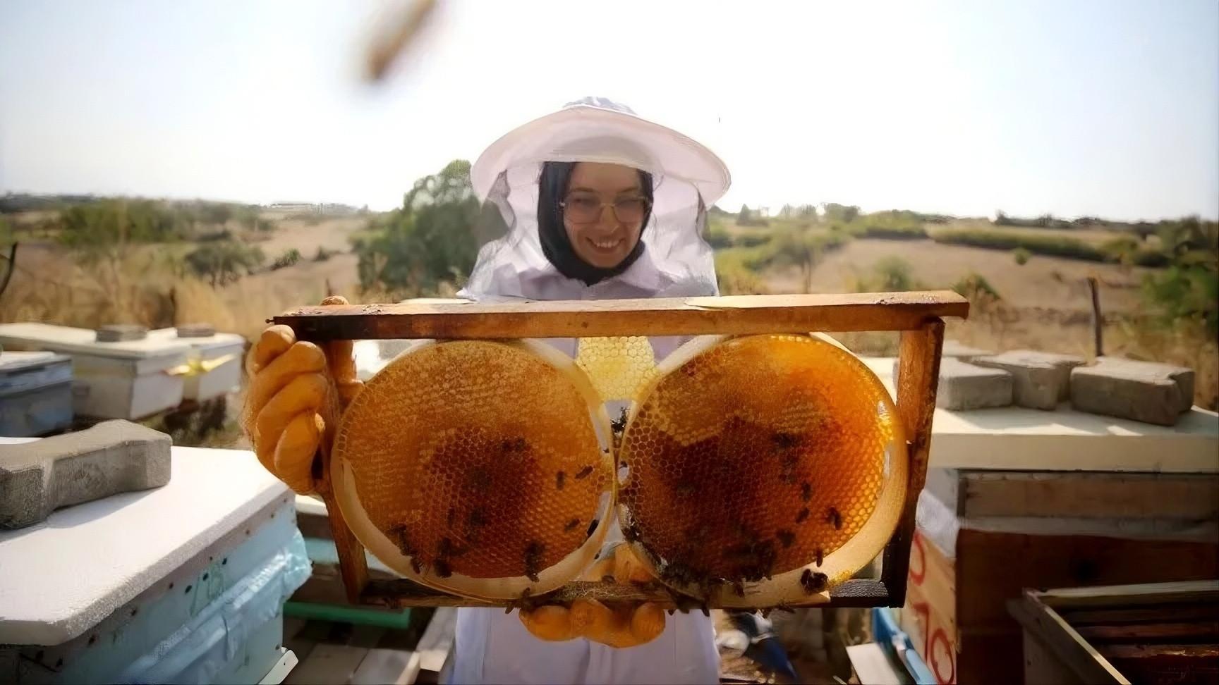 Türkiye aims for top spot in honey production