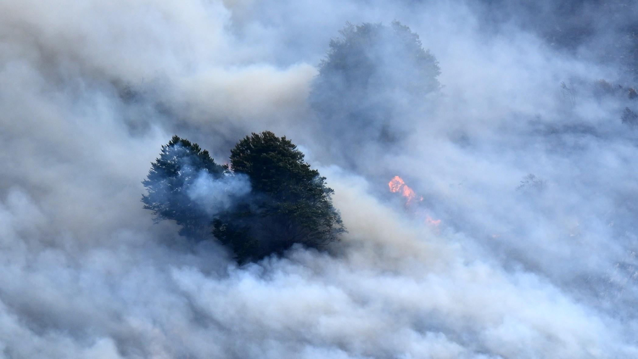 Wildfires, heat waves ‘endanger air quality’