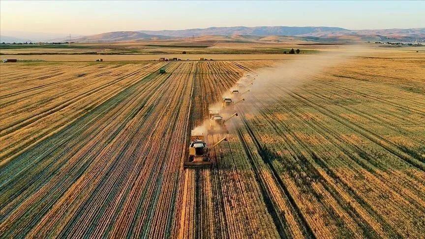 Türkiye targets greater food supply security under new Program