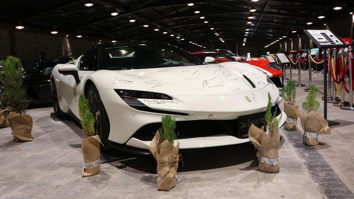 Ferrari signatures turn into 10,000 saplings