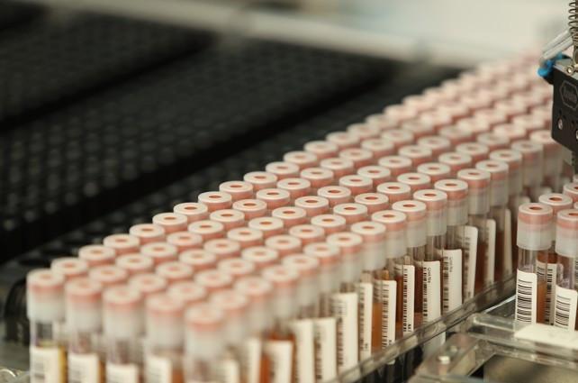Turkish Red Crescent boosts hope for stem cell patients