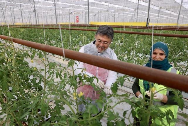 Türkiye to prioritize public investments to drive growth