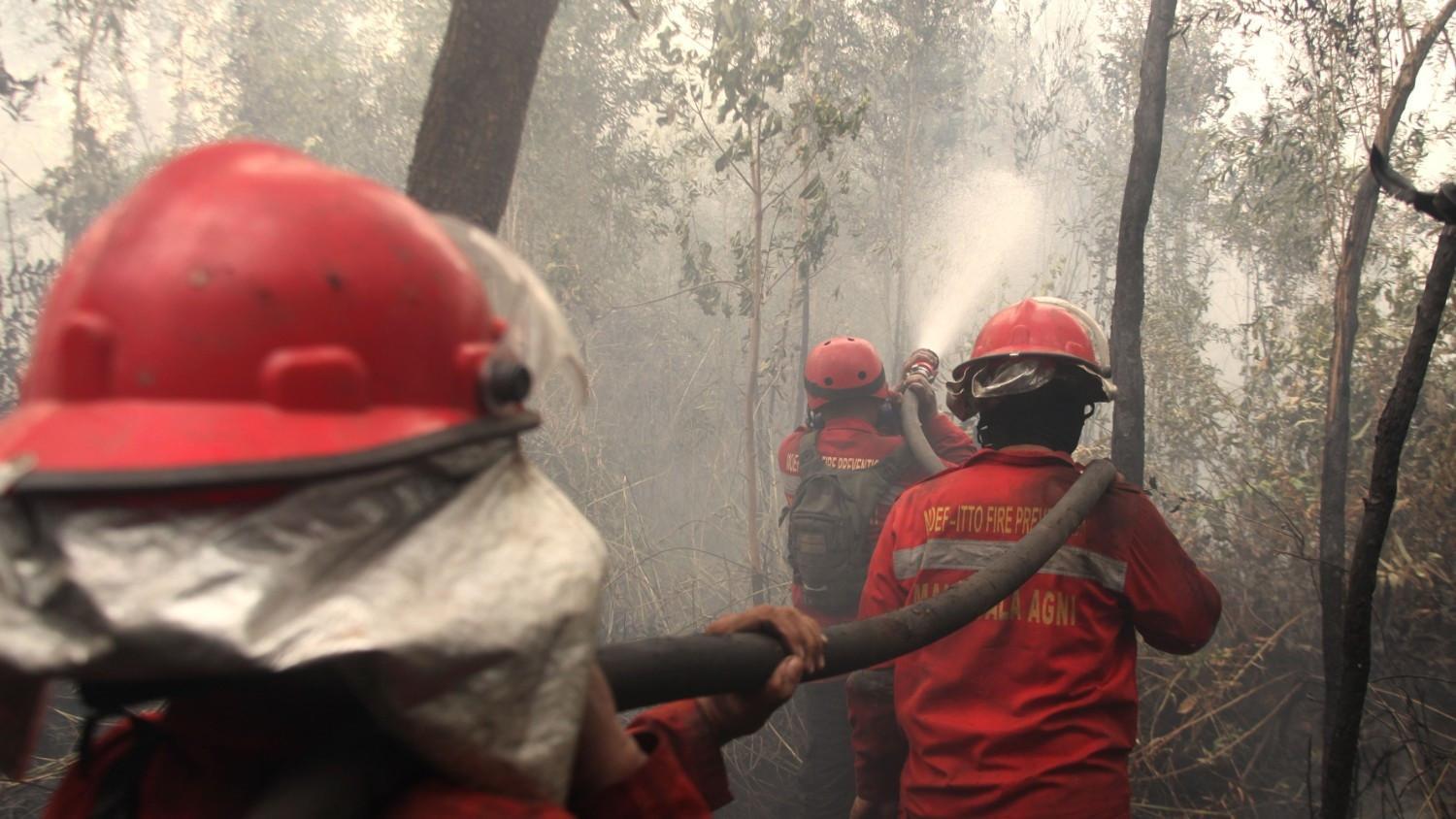 Indonesia struggling to curb forest fires