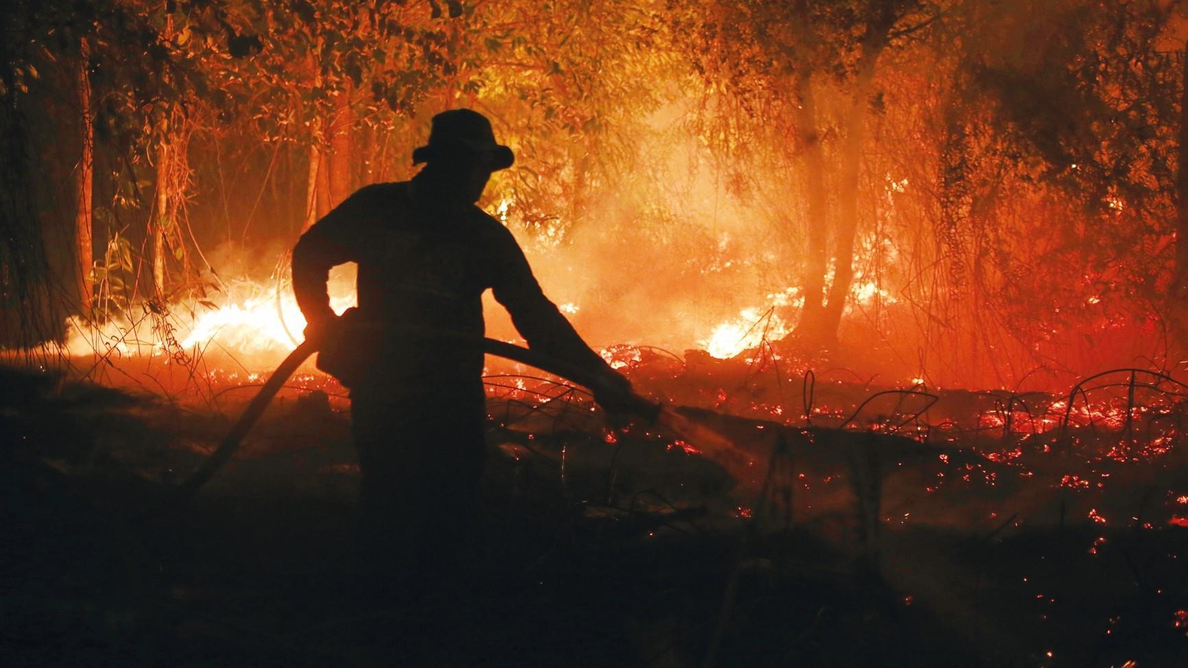 El Nino-driven heat ‘could cause nearly 500,000 more deaths’
