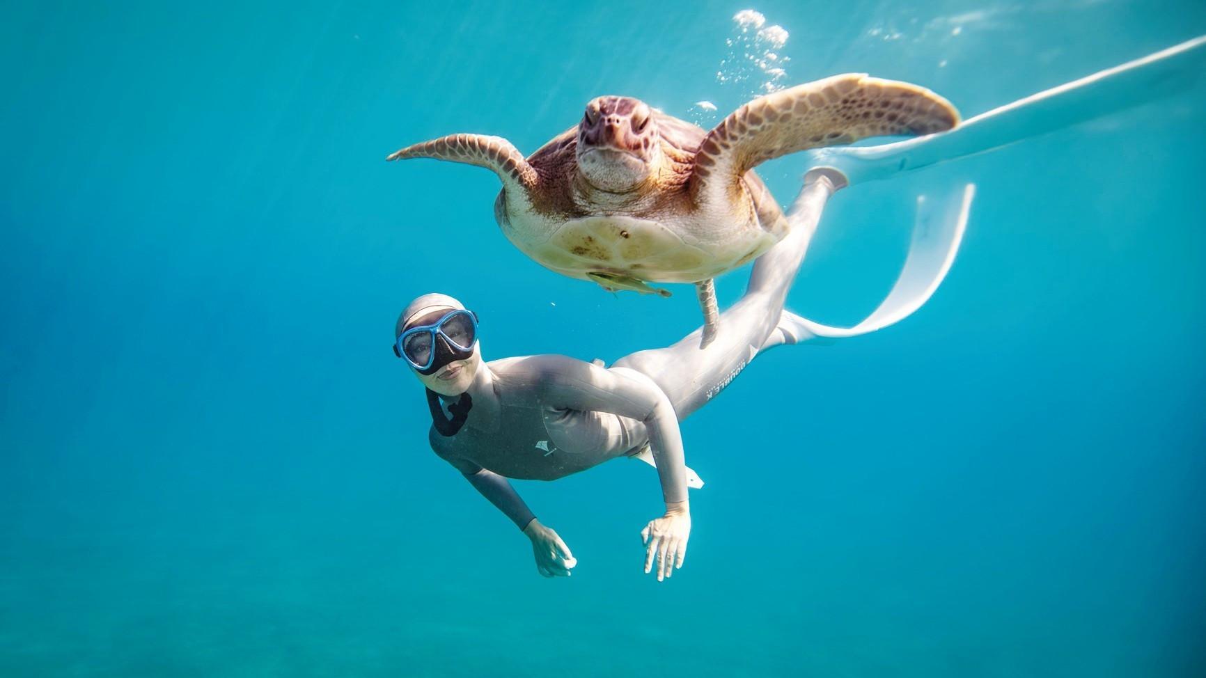 Turkish freediver swims with sea turtles to fight pollution