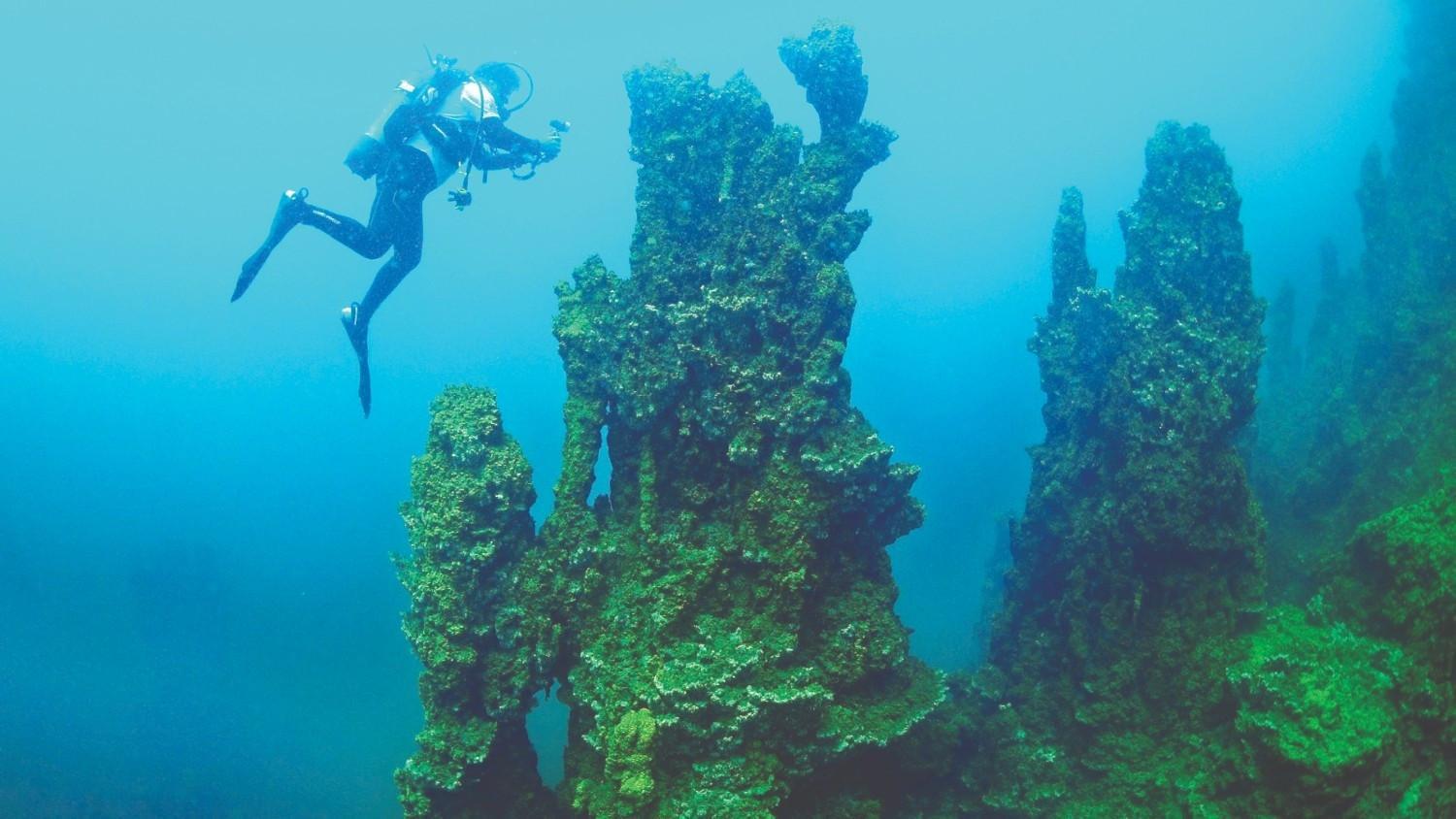 Int’l team to study giant Van Lake microbialites