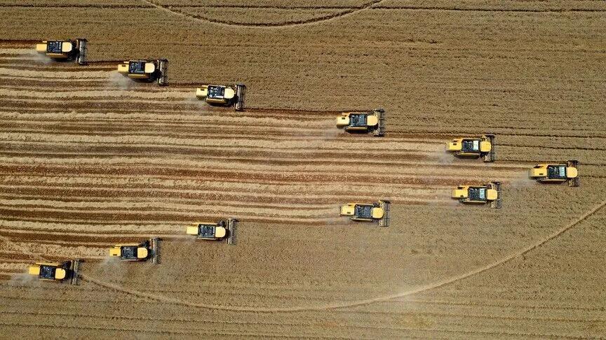World Bank approves $750 million financing for Türkiye’s agrifood sector