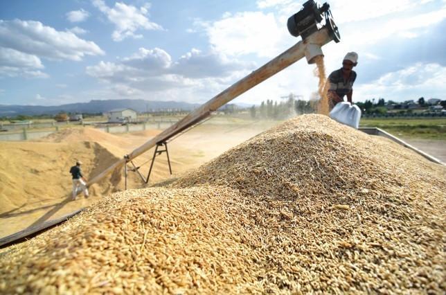 Türkiye steps up regional and global agricultural diplomacy efforts
