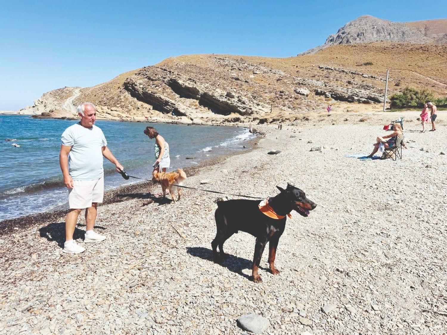 Gökçeada emerges as Türkiye’s top pet-friendly destination