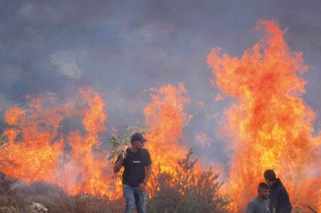 Israeli forces help settlers seize West Bank olive