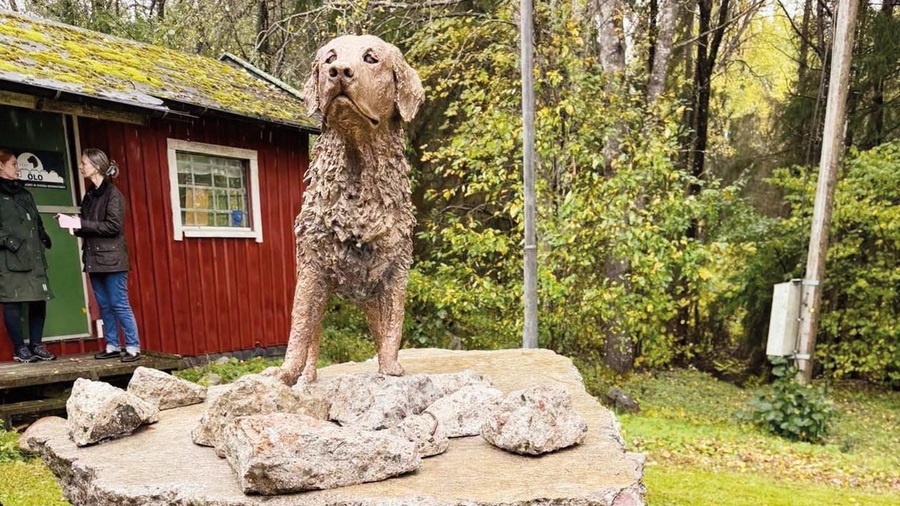 Sweden honors rescue dog Killian for saving 18 lives in Türkiye