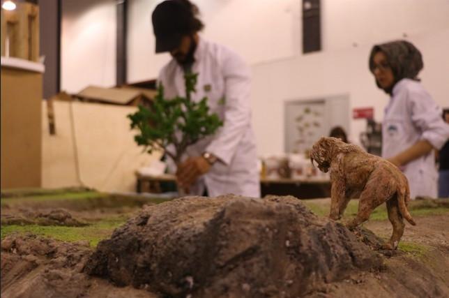 3D models recreate 7.7-million-year-old fauna