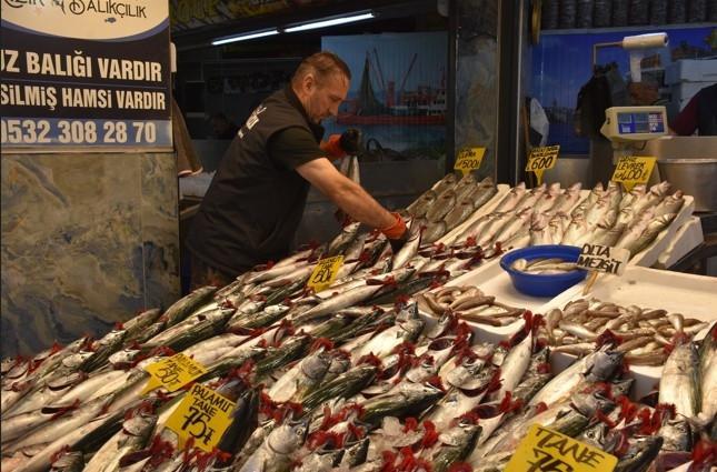 Istanbul union’s call to pause bonito fishing sparks public backlash