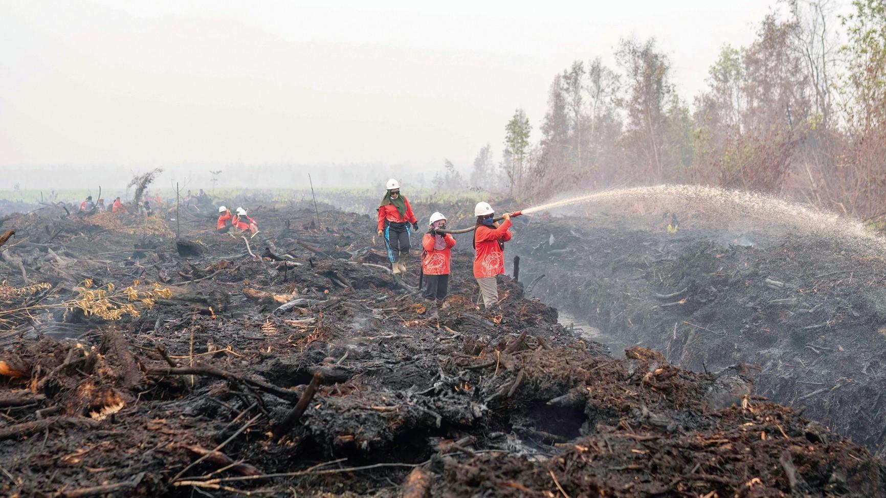 Indonesia fires ‘have burned nearly 2 mln hectares’
