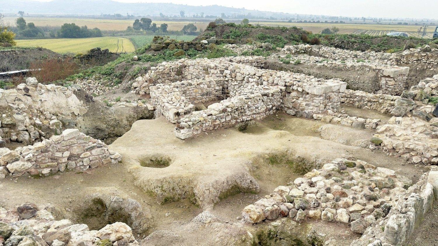 Dietary habits of Lydians revealed in charred seeds