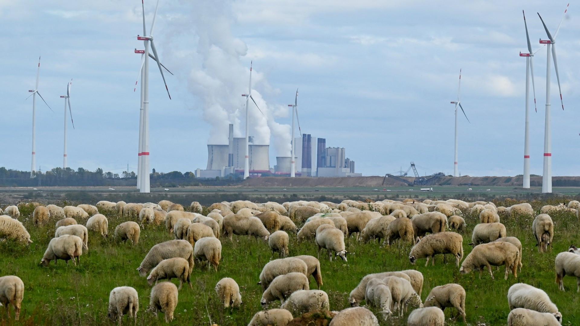 World falling 'dangerously short' on climate action: UN chief