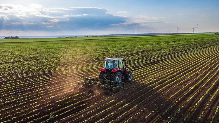Crop output seen rising in cereals, fruits this year